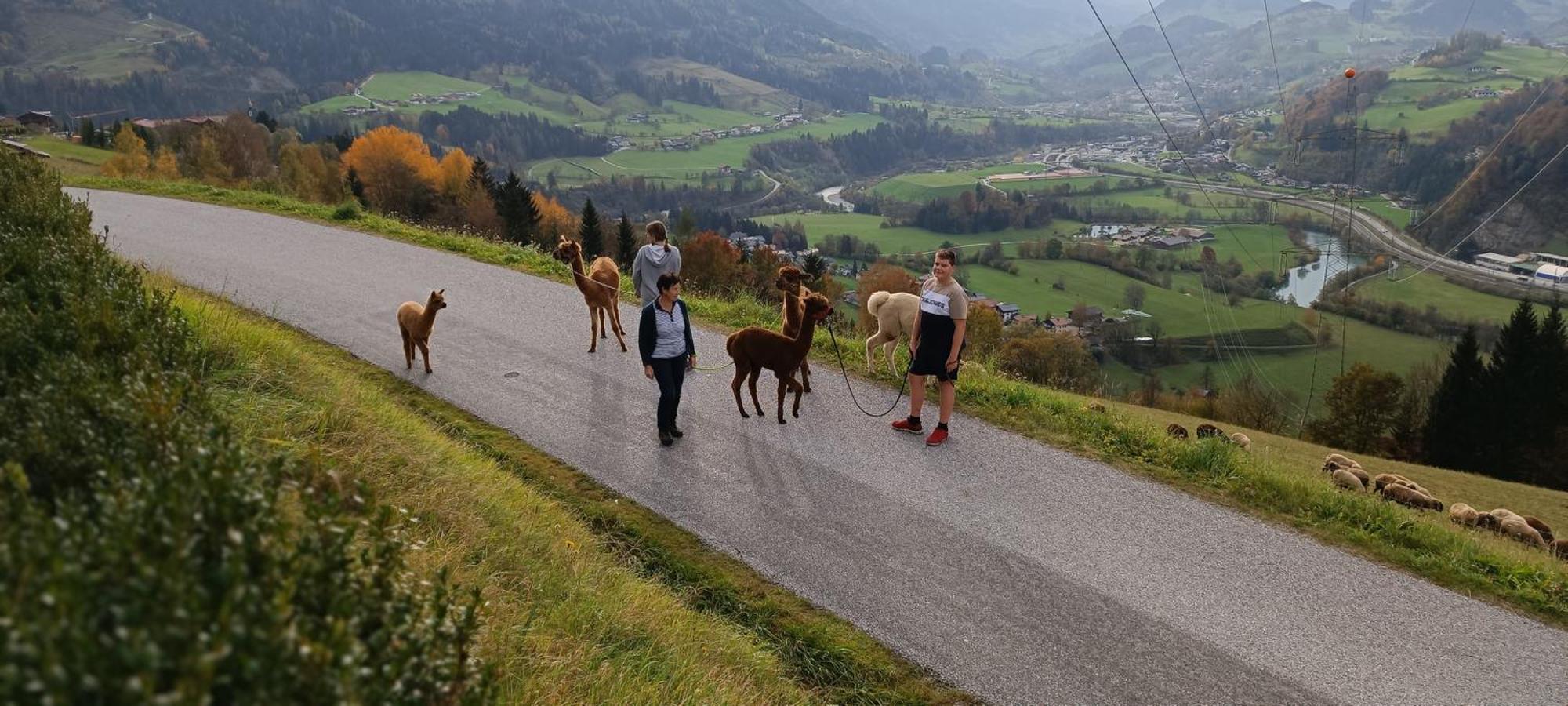 Appartementhaus Eisbauer Sankt Johann im Pongau Dış mekan fotoğraf